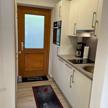 Wildbert Mit Blick Auf Donau, Nur Feriengaeste Willkommen, Keine Arbeiterunterkunft! Apartmán Obernzell