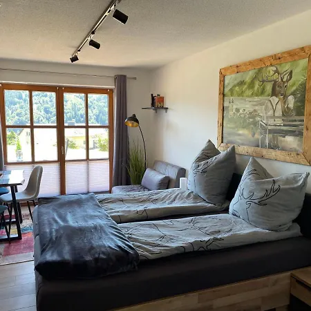 Apartment Wildbert Mit Blick Auf Donau, Nur Feriengaeste Willkommen, Keine Arbeiterunterkunft! *